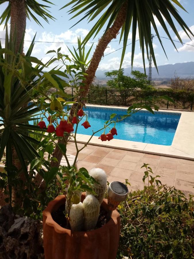 Bed and Breakfast Casa Miguel Pizarra Exterior foto