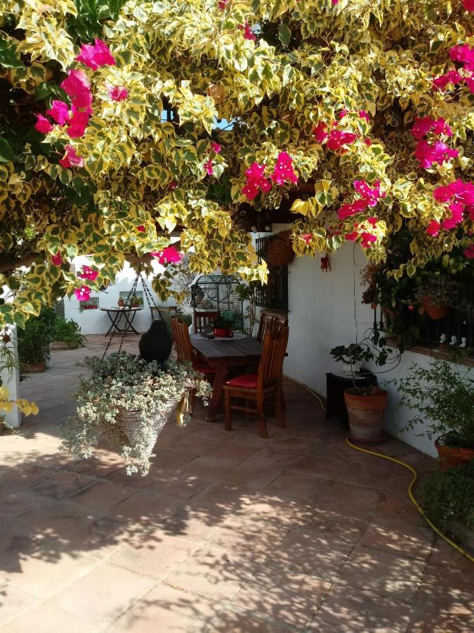 Bed and Breakfast Casa Miguel Pizarra Exterior foto